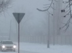 С какой погоды начнется февраль в Воронежской области