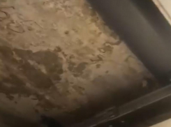 Лайфхак для «утопающих» в собственной квартире наглядно продемонстрировали воронежцы