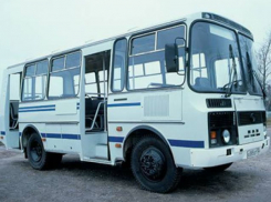 В Воронеж вернут автобусные маршруты №62 и №49м