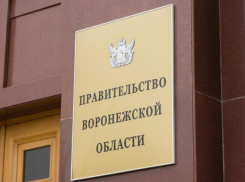 Областное правительство обратилось к воронежцам в связи с тем, что происходит в Telegram