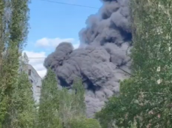 Названа предполагаемая причина страшного пожара в футбольном манеже Воронежа