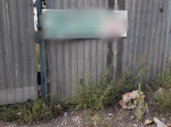 Оглушительный лай десятка собак напугал воронежцев