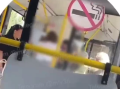 Драка двух женщин в воронежском автобусе попала на видео