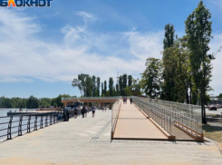 Подрядчик Петровской набережной оплатит демонтаж аварийных конструкций в Воронеже