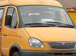 В Воронежской области сотрудники ГИБДД проверили более полутора тысяч автобусов