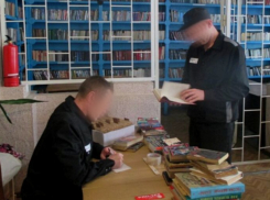 Тихий скандал по-воронежски: директор-решала из тюремной школы пытается обжаловать приговор по делу о мошенничестве