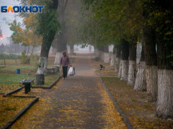 С заморозков начнется локдаун в Воронежской области 