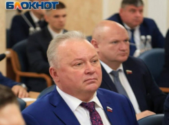 Кто на самом деле выбирает спикера Воргордумы, проболтался Олег Черкасов