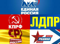 Стало известно, в какую партию больше всего хотят вступить воронежцы