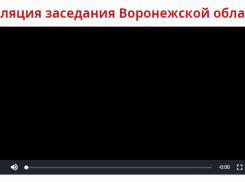 Нетёсов нарушил Регламент и провел фактически закрытое заседание облдумы