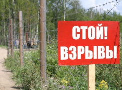 В Воронеже и области уничтожили боеприпасы Великой Отечественной войны