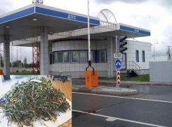 В Воронежской области у водителя иномарки нашли 100 граммов маковой соломки