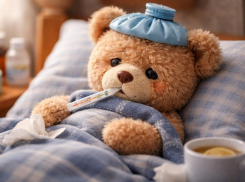 За неделю ОРВИ подкосила более 10 тысяч жителей Воронежской области