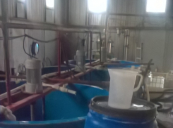 Неприятный запах привел к закрытию предприятия в Воронеже 