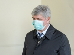 Слух об уходе школьников на дистанционку развеял Александр Гусев в Воронеже 