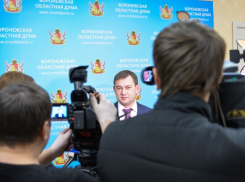 На пиар Думы имени Владимира Нетесова дополнительно потратят 6,4 млн рублей из кармана воронежцев 