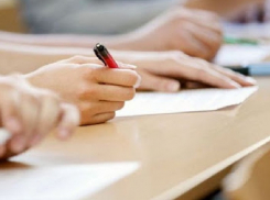 Определен проектировщик самой большой школы России в яблоневом саду Воронежа