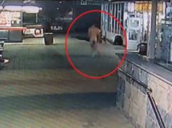 Ночной дебош устроил голый Терминатор в элитном доме в центре Воронежа