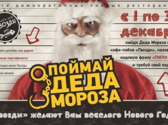 В конце декабря воронежцев поздравит с Новым годом сексуальная снегурочка