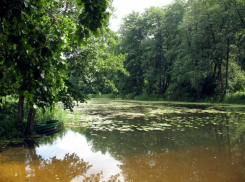 В Воронежской области продолжают расчищать Усманку