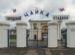 В Воронеже стадионы, реконструированные к ЧМ-2018, решили отдать детям