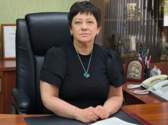 Главврач Рамонской РБ Новомлинская стала «Заслуженным работником здравоохранения РФ»