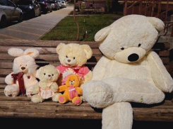 Семейная «история игрушек» появилась на воронежской улице