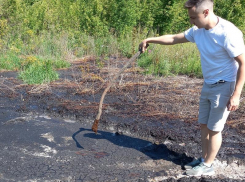 Лужи химикатов посреди мёртвой земли обнаружили в Воронежской области