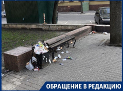Превращение Петровского сквера в помойку возмутило воронежцев