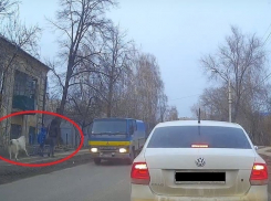 В частном секторе Воронежа на мать с ребенком напала собака породы алабай