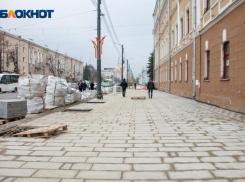 «А где деревья?», – блогер Варламов заставил мэрию Воронежа оправдываться за проспект Революции