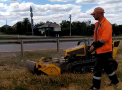 Модная газонокосилка восхитила воронежцев своей работой
