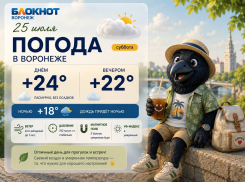 Эмоциональные качели устроит воронежцам погода: прогноз 