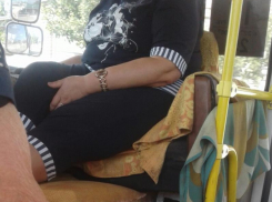 Царской позой отличилась кондуктор в Воронеже