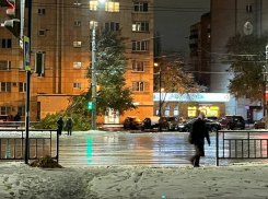 Дерево рухнуло у пешеходного перехода в Воронеже