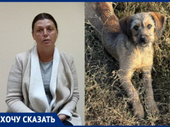 «Ребенок рассказывал, как они жестоко убивали моего щенка»: женщина заявила о соседской мести под Воронежем