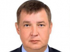 Названо имя нового главы ГО и ЧС по Воронежской области, руководство которого наживалось на СВО