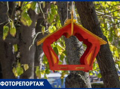 Как выглядит разгар осени в каменных джунглях, показали в Воронеже 