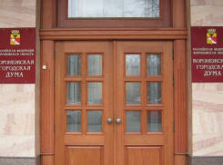 Из казны на капремонт Воронежской гордумы выделят 3,5 миллиона рублей