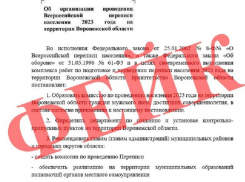Документ о внеплановой переписи мужчин признали фейком в воронежском правительстве