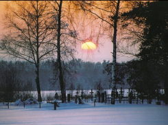 Житель Воронежской области из-за мести разрушал памятники и могилы знакомых