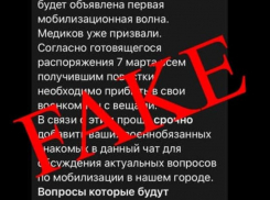 Фейковую мобилизацию населения разоблачили в Воронеже