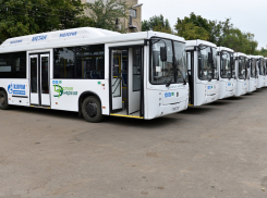 Воронежский «народный маршрут» получил 25 новых автобусов