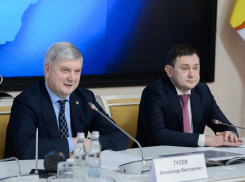 Бюджет Воронежской области - лакомый кусок для чиновников и депутатов