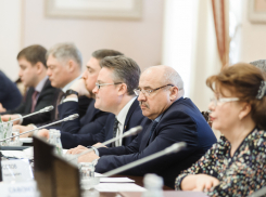 Продвигать новые воронежские проекты будет государственный Внешэкономбанк