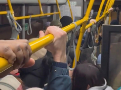 «Столпотворение как было, так и осталось»: воронежцы жалуются на давку в автобусах после замены подвижного состава