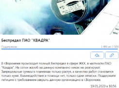 Петицию с требованием закрыть «Квадру» создали жители Воронежа 