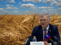 От санкций до обрушения цен: какие вызовы бросает воронежским аграриям 2023 год