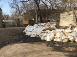 Капустный апокалипсис устроили жителям Воронежа