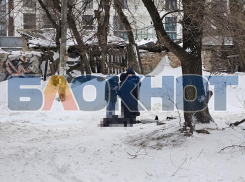 Чистил снег и умер? Труп мужчины обнаружили на заснеженной дороге в Воронеже
